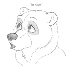 Bear In Awe