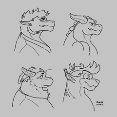 Dragon Profiles