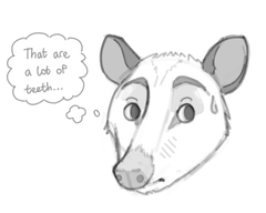 Opossum Worried